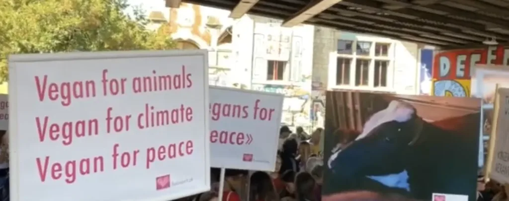 Nationale Klima-Demo des Wandels vom 28. September 2019 in Bern