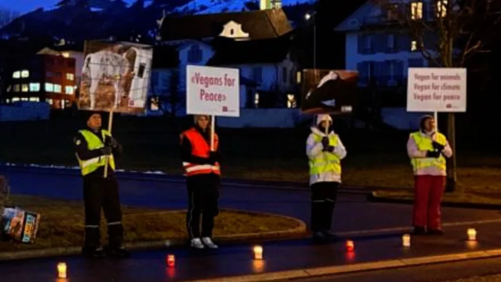 An Der Mahnwache Von Schwyz Animal Save In Schwyz Am 30 J M