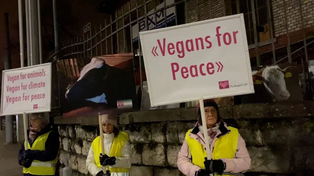 An Der Mahnwache Von Zurich Animal Save In Zuerich Am 6 D