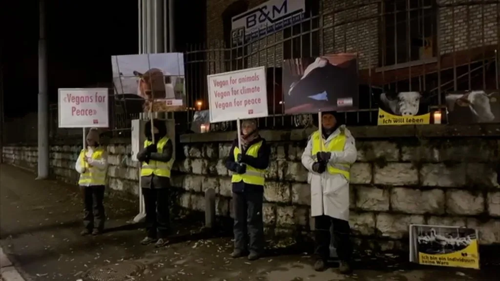 An Der Mahnwache Von Zurich Animal Save Vom 29 November 2