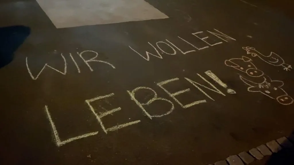 Unterstuetzte Heute Am 21 November 2019 Die Mahnwache Von 3