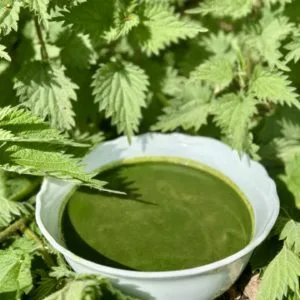 Brennesselsuppe